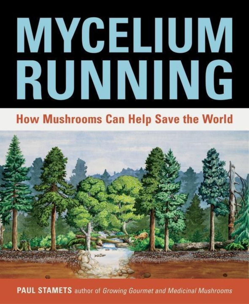 Couverture de Mycelium Running