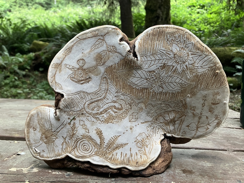 Ganoderme aplani (Ganoderma applanatum)